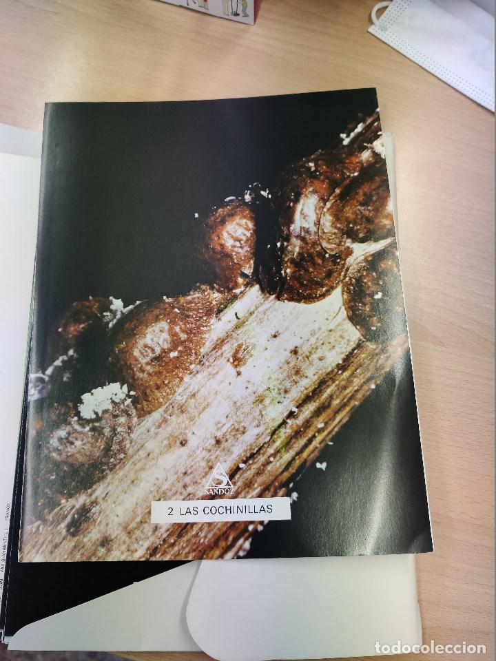 Libros de segunda mano: fitopatolog&iacute;a de la vi&ntilde;a . folletos.Ediciones sandoz. - Foto 3