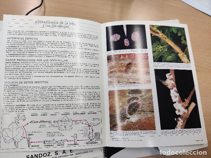 Libros de segunda mano: fitopatolog&iacute;a de la vi&ntilde;a . folletos.Ediciones sandoz. - Foto 4