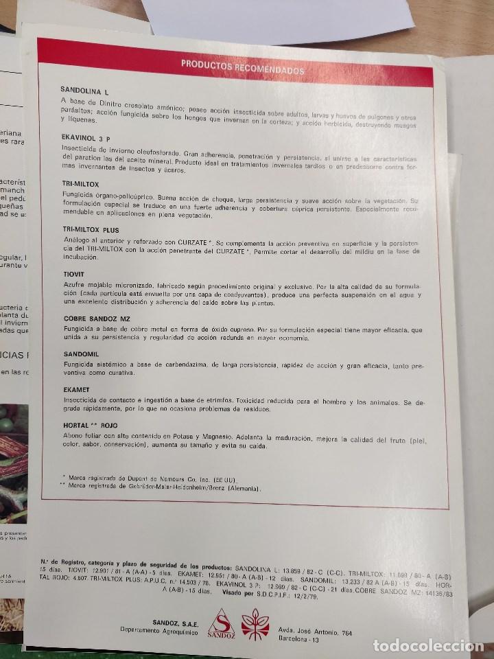 Libros de segunda mano: fitopatolog&iacute;a de la vi&ntilde;a . folletos.Ediciones sandoz. - Foto 7