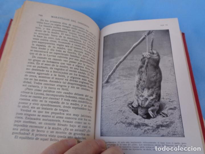 Libros de segunda mano: MARAVILLAS DEL INSTINTO DE LOS INSECTOS, J. H. FABRE - Foto 4