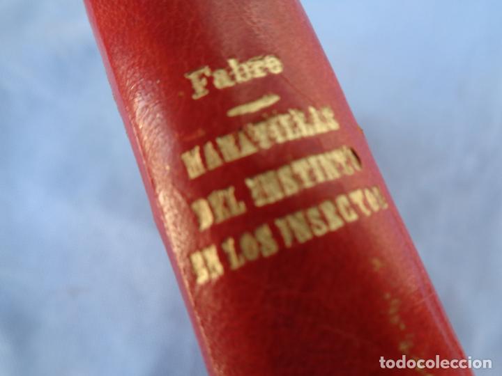 Libros de segunda mano: MARAVILLAS DEL INSTINTO DE LOS INSECTOS, J. H. FABRE - Foto 5