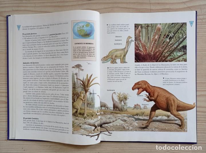 Libros de segunda mano: El Libro Ilustrado De Los Dinosaurios - 1991 - Club Internacional Del Libro - Foto 5