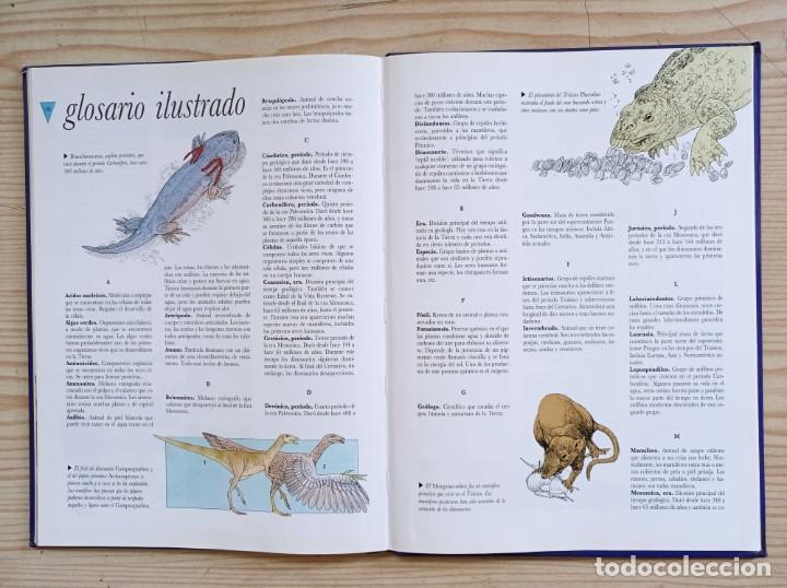 Libros de segunda mano: El Libro Ilustrado De Los Dinosaurios - 1991 - Club Internacional Del Libro - Foto 6