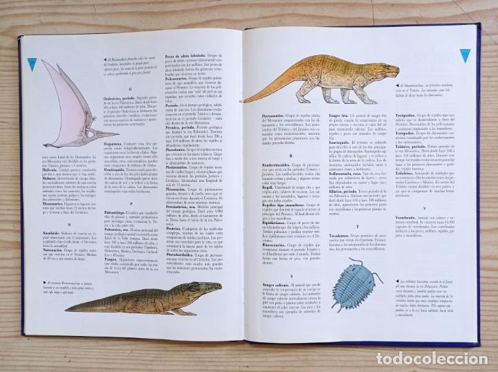 Libros de segunda mano: El Libro Ilustrado De Los Dinosaurios - 1991 - Club Internacional Del Libro - Foto 7