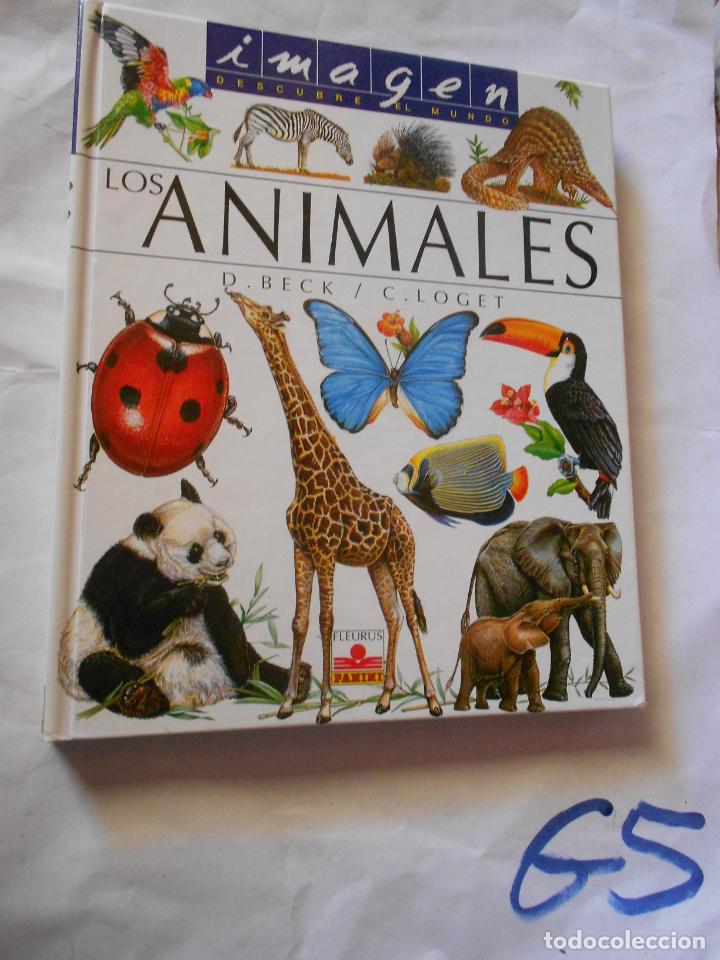 Libros de segunda mano: LOS ANIMALES - Foto 1