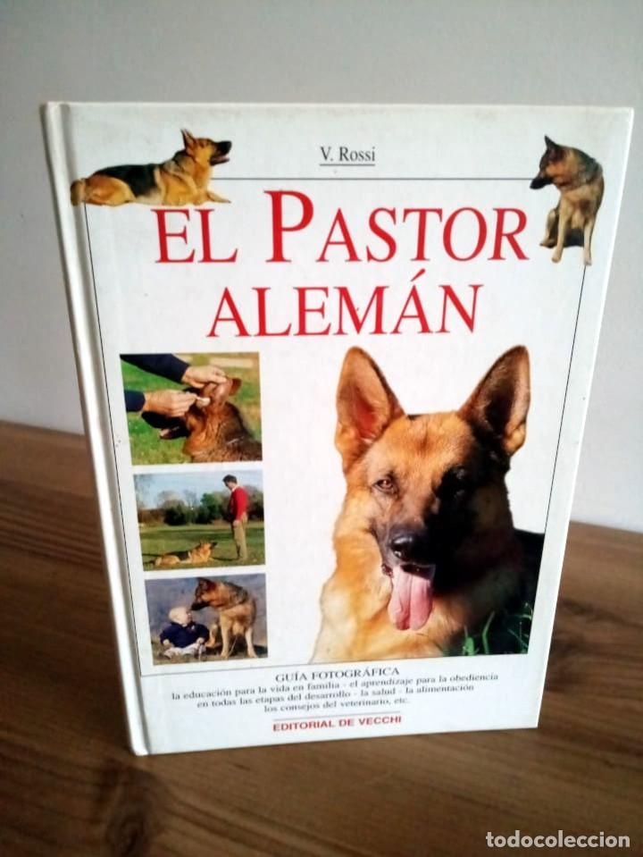 Libros de segunda mano: EL PASTOR ALEM&Aacute;N. ROSSI VALERIA. DE VECCHI EDICIONES. 2000 - Foto 1