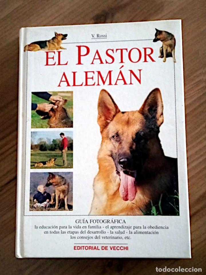 Libros de segunda mano: EL PASTOR ALEM&Aacute;N. ROSSI VALERIA. DE VECCHI EDICIONES. 2000 - Foto 2
