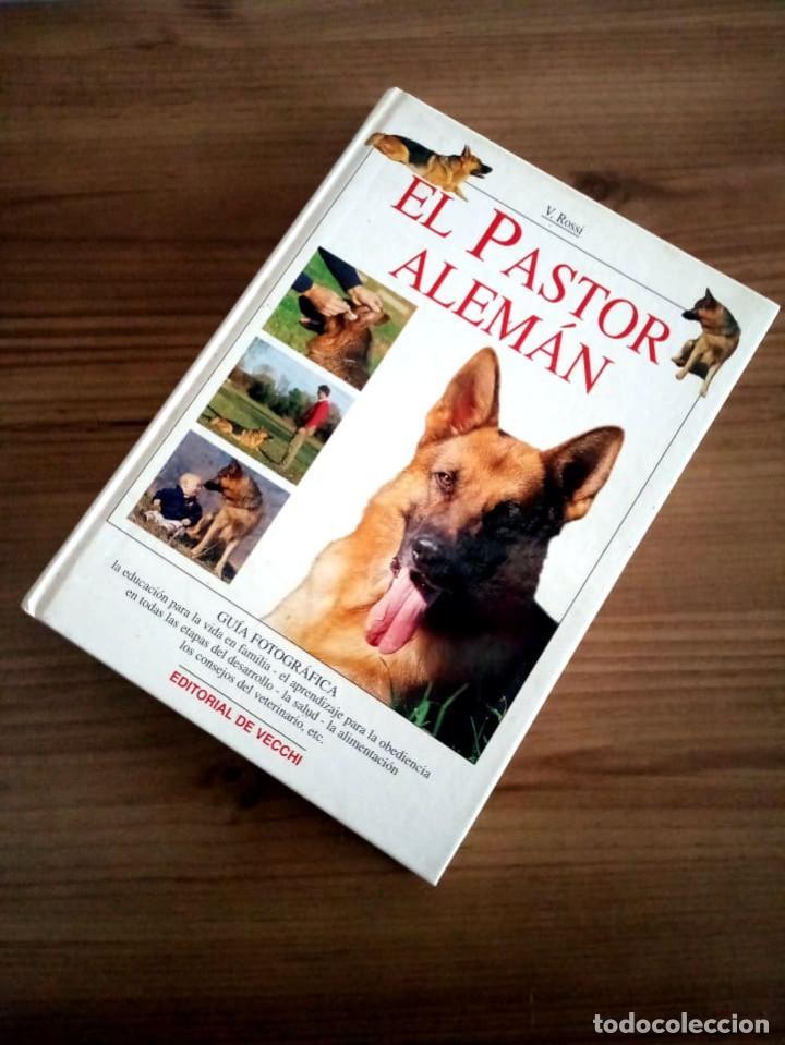 Libros de segunda mano: EL PASTOR ALEM&Aacute;N. ROSSI VALERIA. DE VECCHI EDICIONES. 2000 - Foto 8