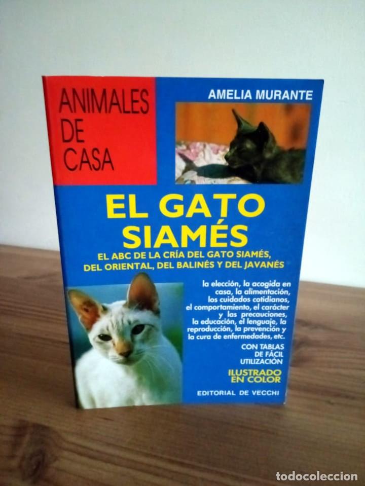 Libros de segunda mano: GATO SIAM&Eacute;S. MURANTE AMELIA. DE VECCHI. ED. 2001 - Foto 1
