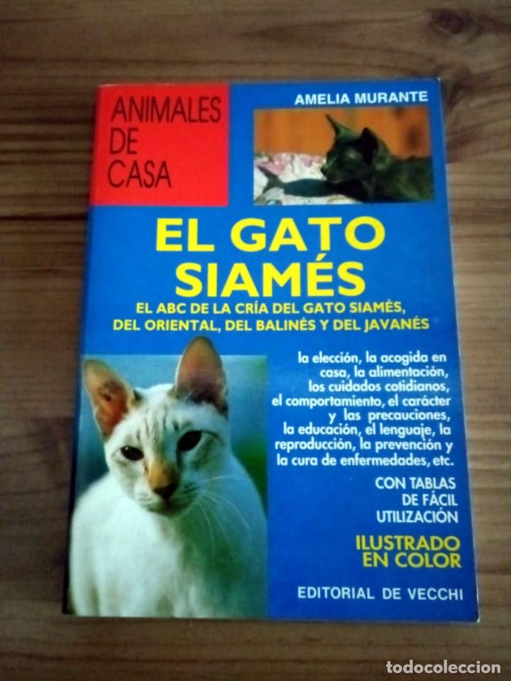 Libros de segunda mano: GATO SIAM&Eacute;S. MURANTE AMELIA. DE VECCHI. ED. 2001 - Foto 2