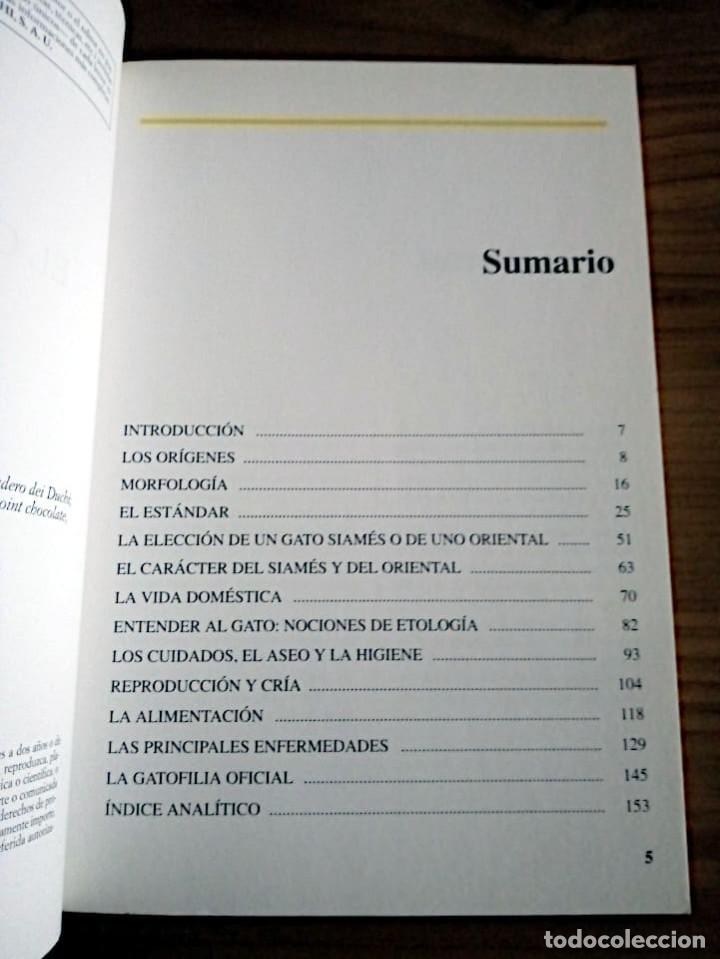 Libros de segunda mano: GATO SIAM&Eacute;S. MURANTE AMELIA. DE VECCHI. ED. 2001 - Foto 7