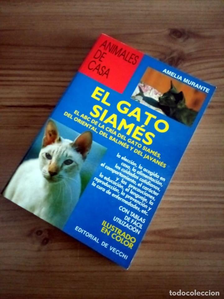 Libros de segunda mano: GATO SIAM&Eacute;S. MURANTE AMELIA. DE VECCHI. ED. 2001 - Foto 8