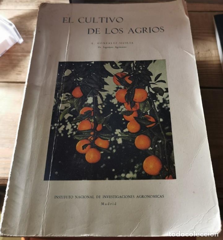 Libros de segunda mano: EL CULTIVO DE LOS AGRIOS. E. GONZ&Aacute;LEZ - SICILIA - Foto 1