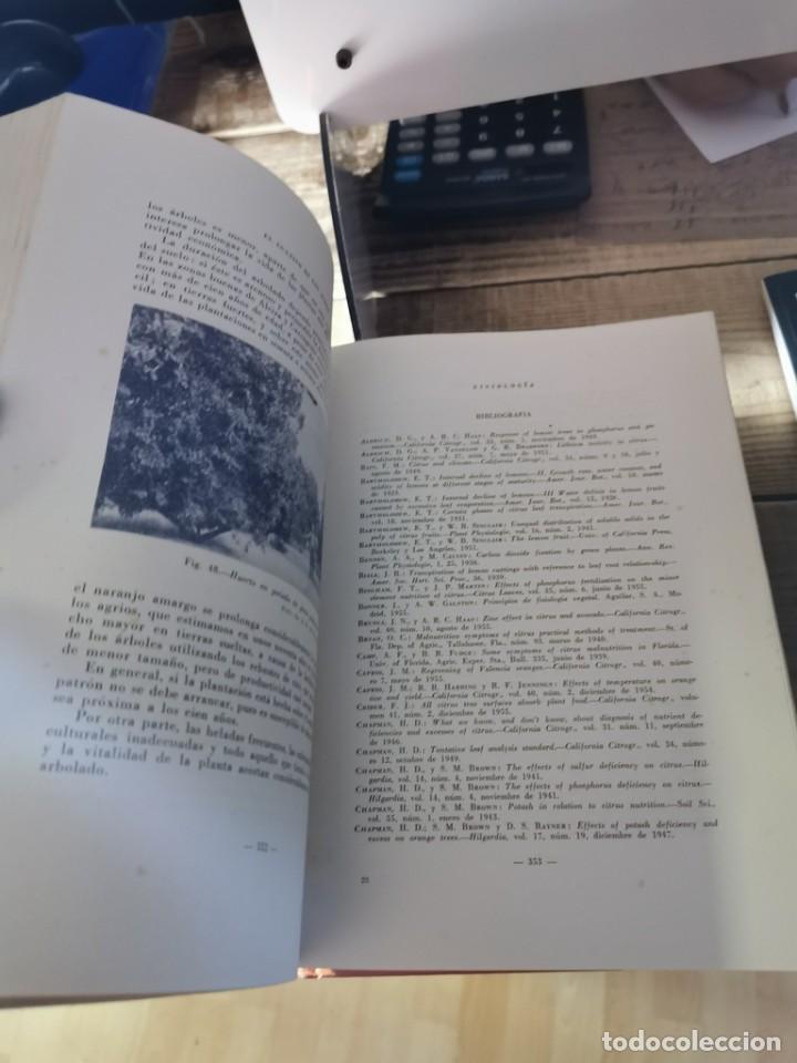 Libros de segunda mano: EL CULTIVO DE LOS AGRIOS. E. GONZ&Aacute;LEZ - SICILIA - Foto 3