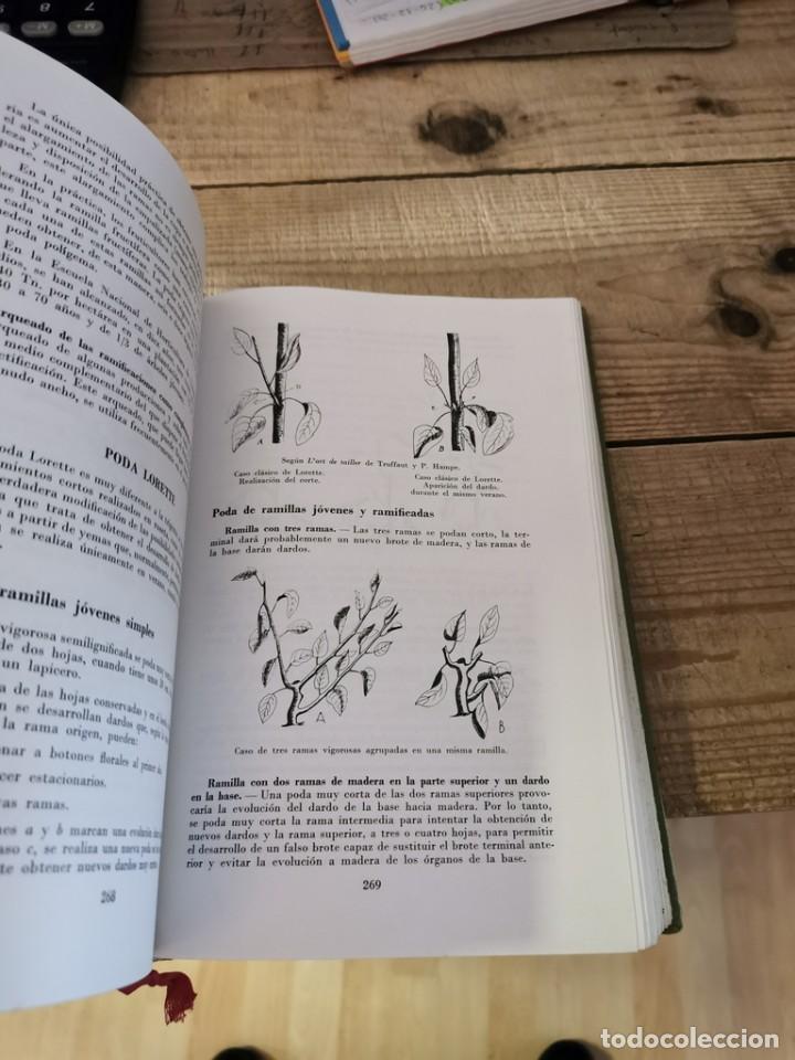 Libros de segunda mano: FRUTICULTURA.- M. COUTANCEAU - Foto 3