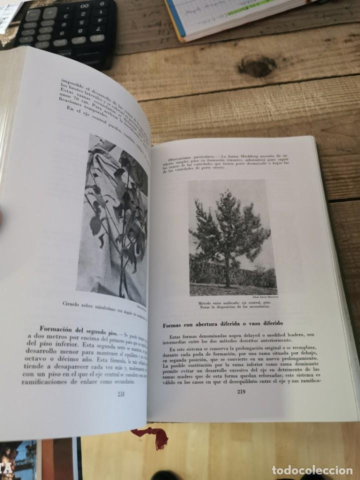 Libros de segunda mano: FRUTICULTURA.- M. COUTANCEAU - Foto 4