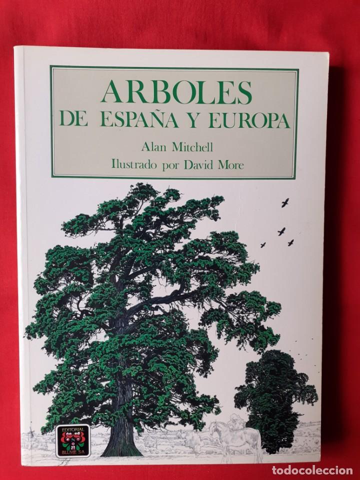 arboles de españa y europa. alan mitchell. ilus - Acheter Livres de  biologie et botanique d'occasion sur todocoleccion