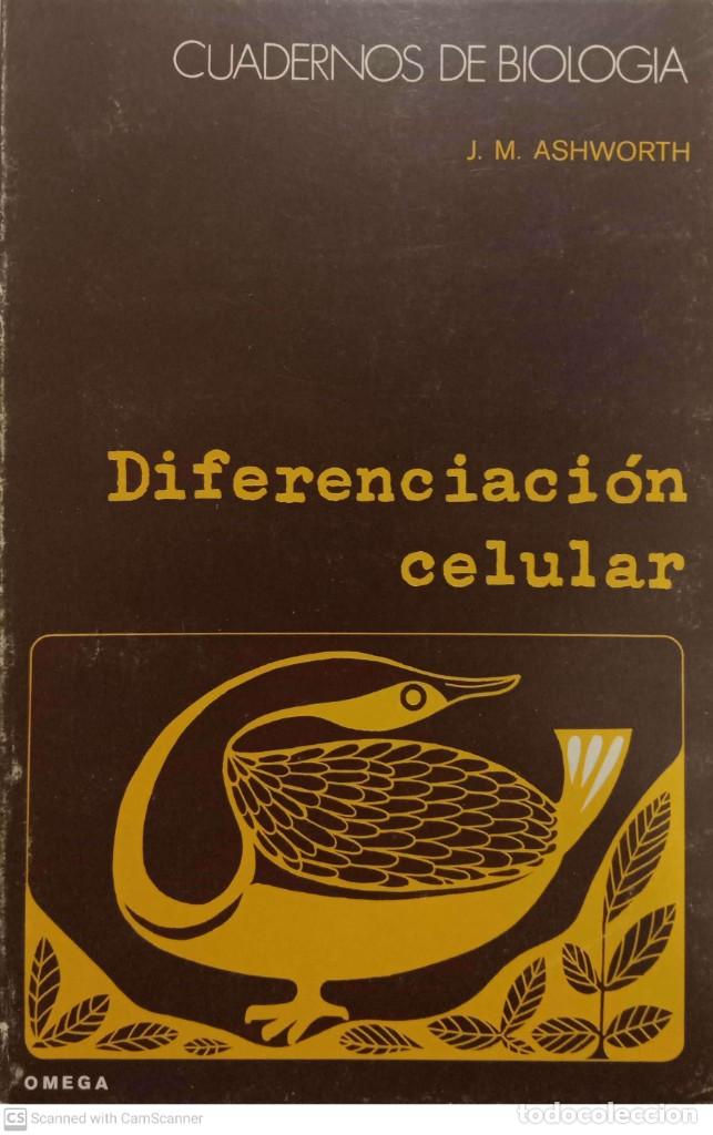 Libros de segunda mano de ciencias: Diferenciaci&oacute;n celular [J.M. Ashworth] - Foto 1