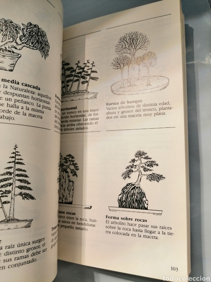 Libros de segunda mano: BONS&Aacute;I DE INTERIOR - Foto 4
