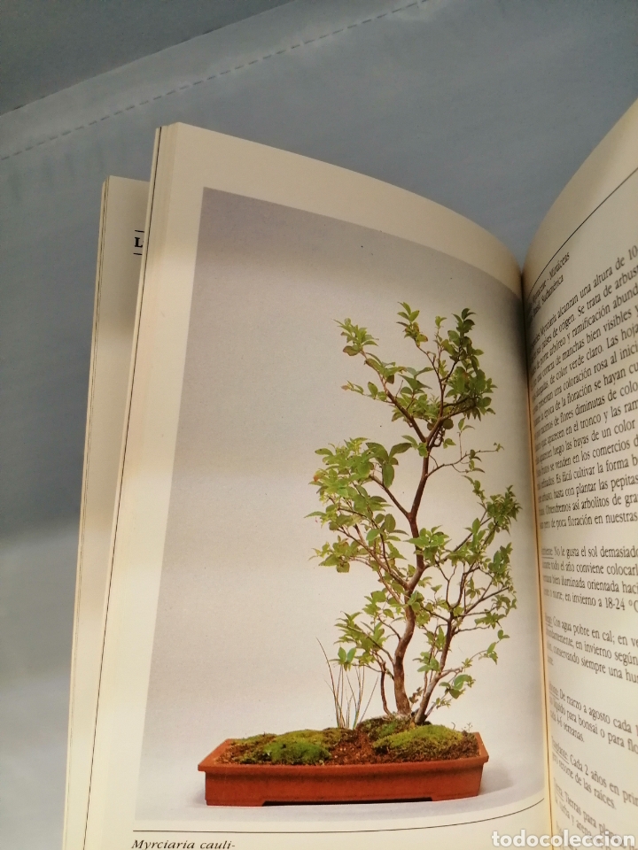 Libros de segunda mano: BONS&Aacute;I DE INTERIOR - Foto 5