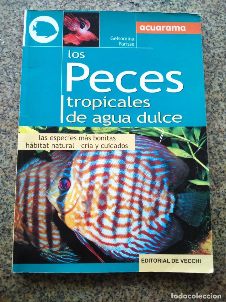 Libros de segunda mano: LOS PECES TROPICALES DE AGUA DULCE -- EDITORIAL DE VECCHI 2002 -- - Foto 1