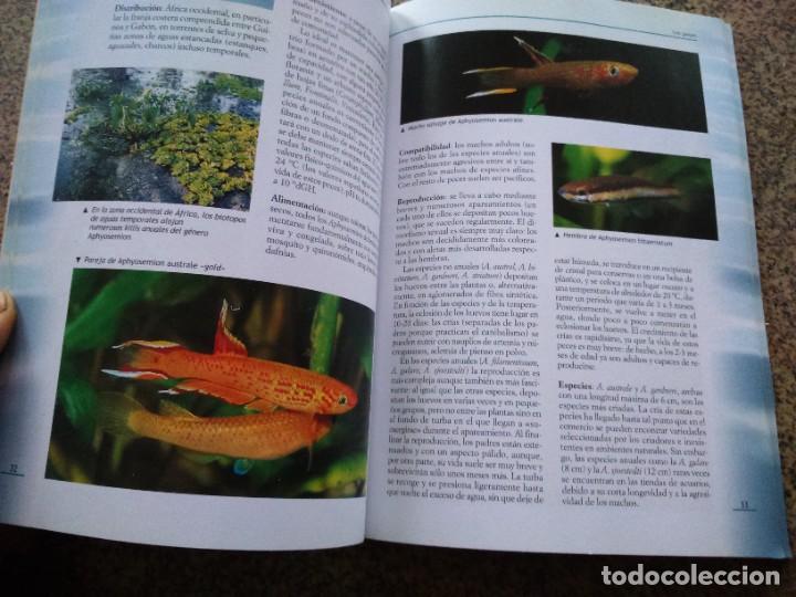 Libros de segunda mano: LOS PECES TROPICALES DE AGUA DULCE -- EDITORIAL DE VECCHI 2002 -- - Foto 3