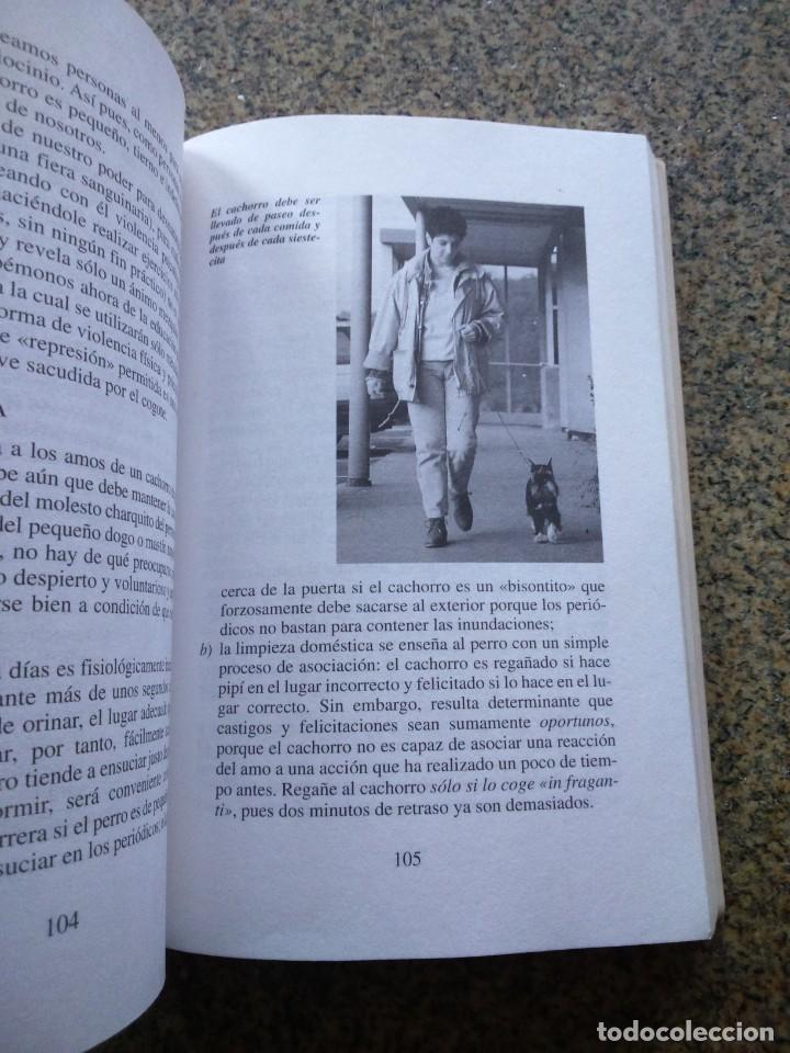Libros de segunda mano: SU PERRO - COMO EDUCAR CON CARI&Ntilde;O -- VALERIA ROSSI -- DE VECCHI 1994 -- - Foto 2