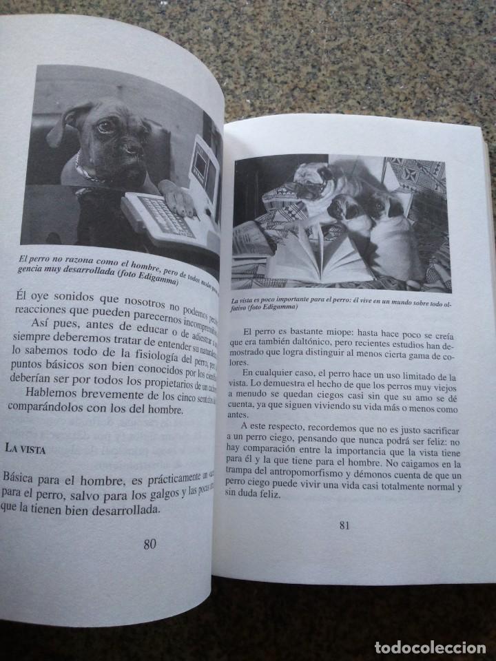 Libros de segunda mano: SU PERRO - COMO EDUCAR CON CARI&Ntilde;O -- VALERIA ROSSI -- DE VECCHI 1994 -- - Foto 3