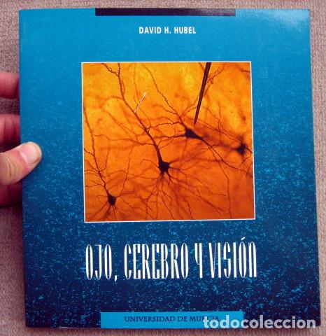 Libros de segunda mano: Ojo, cerebro y visi&oacute;n, de David H. Hubel - Foto 1