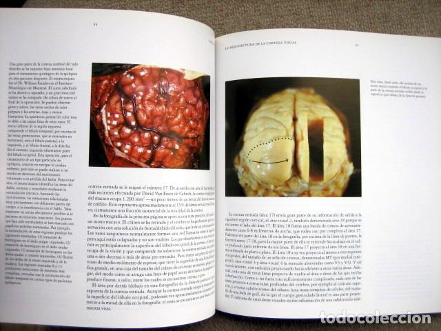 Libros de segunda mano: Ojo, cerebro y visi&oacute;n, de David H. Hubel - Foto 4