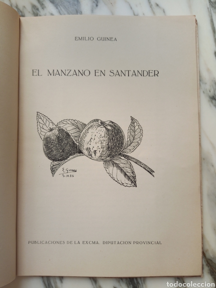 Libros de segunda mano: EL MANZANO EN SANTANDER - EMILIO GUINEA - 1954 - Foto 2
