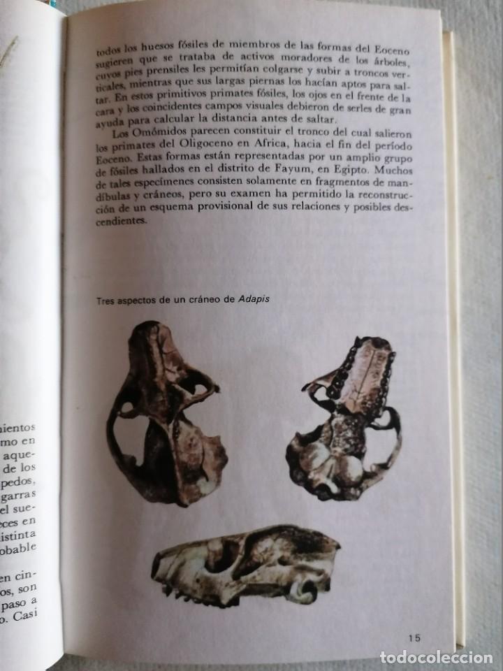 Libros de segunda mano: EL HOMBRE F&Oacute;SIL - Foto 3