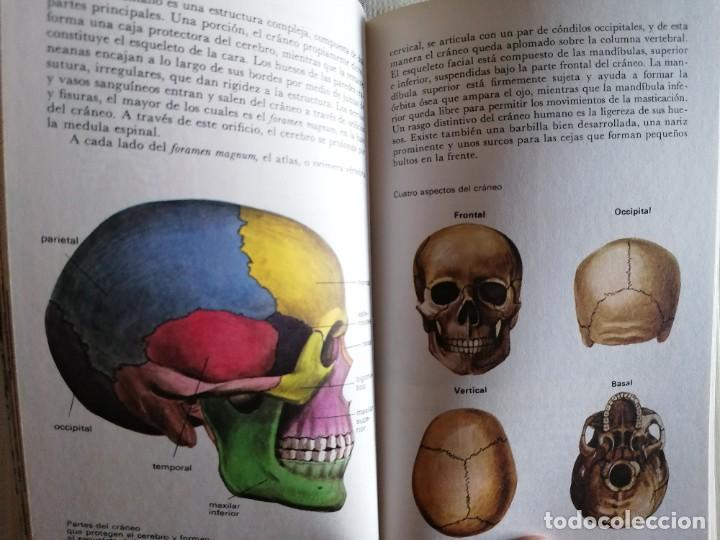 Libros de segunda mano: EL HOMBRE F&Oacute;SIL - Foto 5