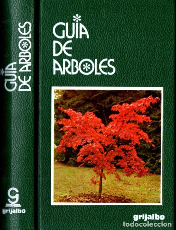 Libros de segunda mano: GU&Iacute;A DE &Aacute;RBOLES (GRIJALBO, 1985) - Foto 1