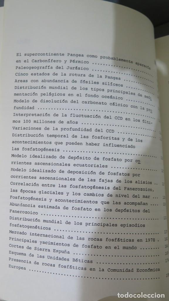 Libros de segunda mano: INTRODUCCION A LA EXPLORACION DE FOSFATOS SEDIMENTARIOS EN ESPA&Ntilde;A - Foto 13