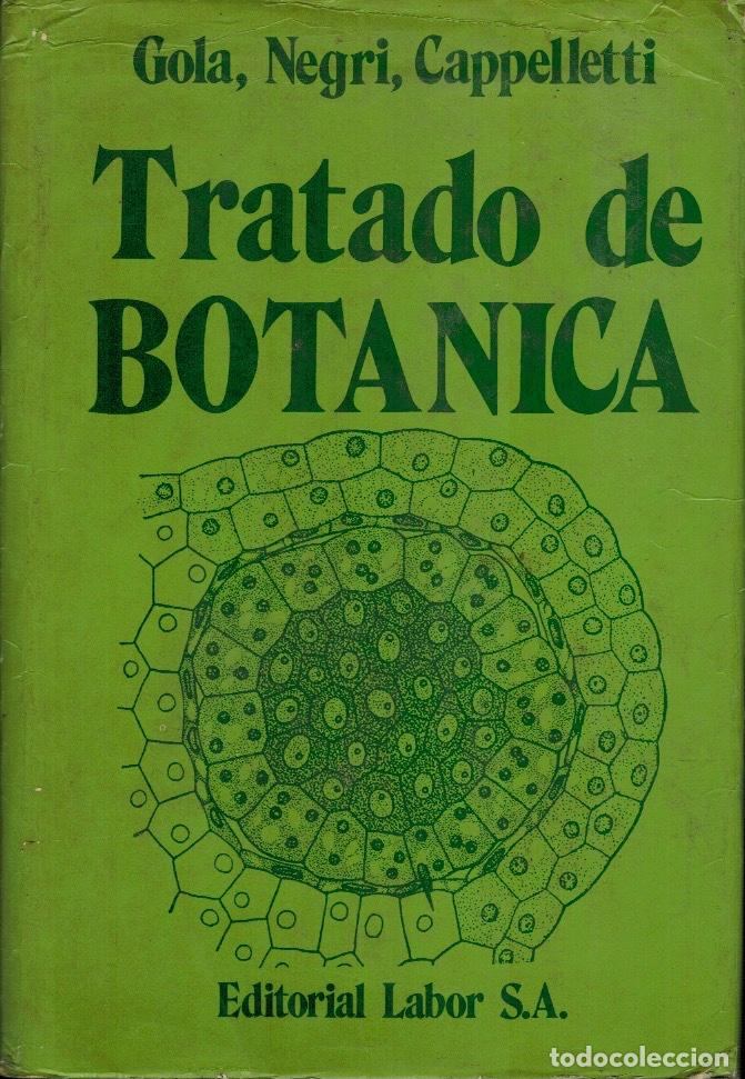 Libros de segunda mano: TRATADO DE BOT&Aacute;NICA - Foto 1