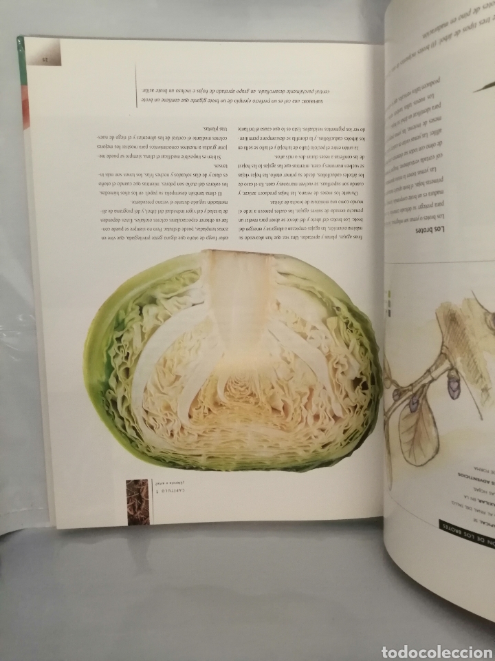 Libros de segunda mano: Manual del Bons&aacute;i... - Foto 4