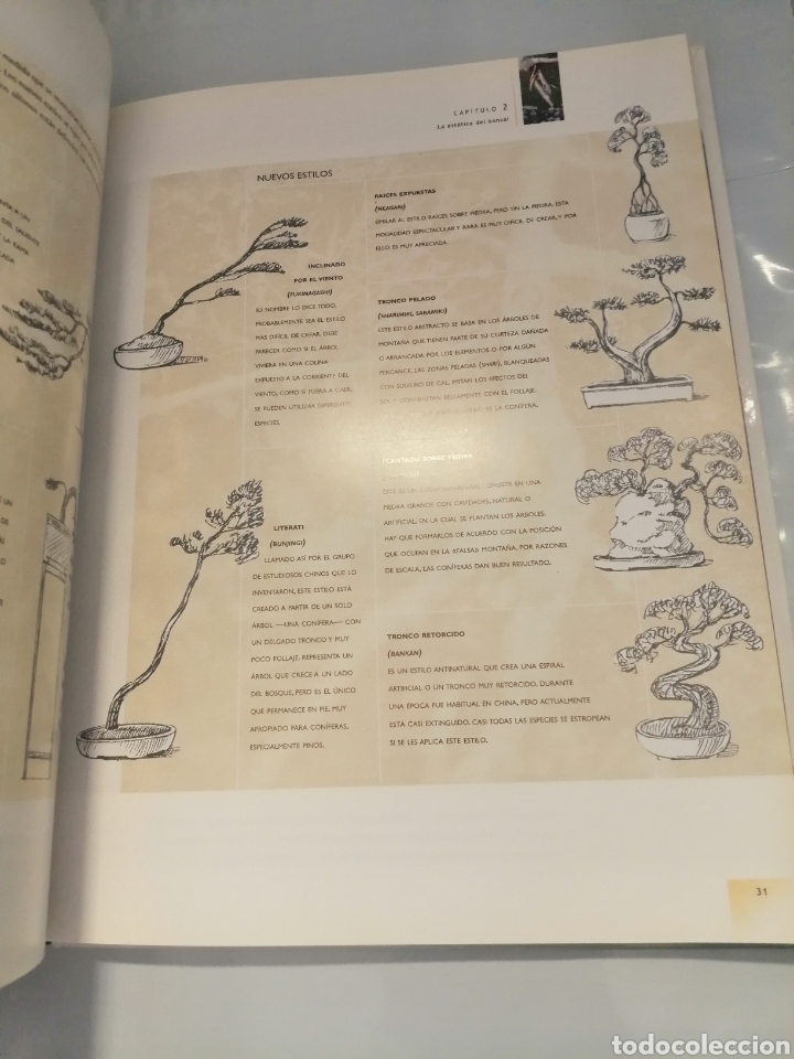 Libros de segunda mano: Manual del Bons&aacute;i... - Foto 5