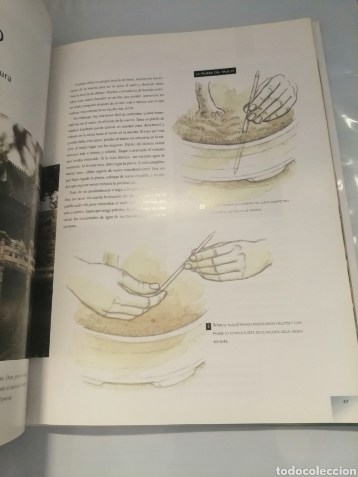 Libros de segunda mano: Manual del Bons&aacute;i... - Foto 6
