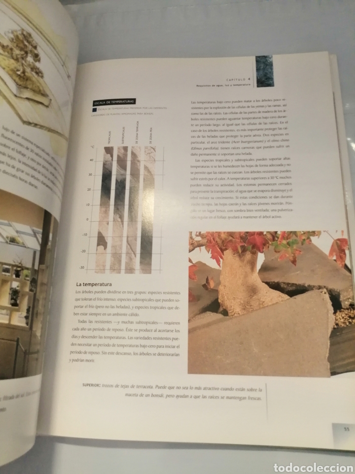 Libros de segunda mano: Manual del Bons&aacute;i... - Foto 7