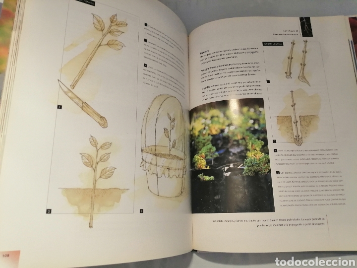 Libros de segunda mano: Manual del Bons&aacute;i... - Foto 8