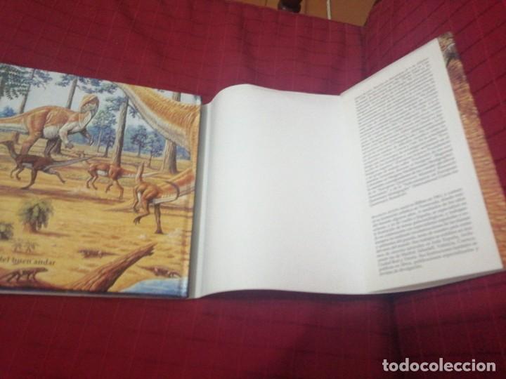 Libros de segunda mano: LA MEMORIA DE LA TIERRRA , JORDI AGUST I- MAURICIO ANTON - Foto 10 - 240558580