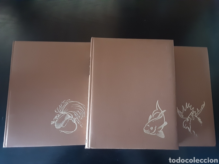 Libros de segunda mano: La vida de los animales (3 libros) - Foto 2