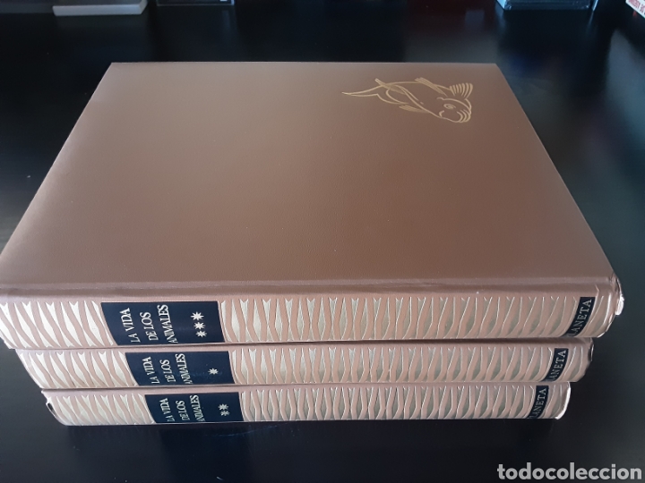 Libros de segunda mano: La vida de los animales (3 libros) - Foto 1