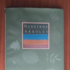 Libros de segunda mano: NUESTROS ÁRBOLES • CATÁLOGO DE LOS ÁRBOLES DE LA PROVINCIA DE CASTELLÓN --- J. ALBUIXECH. Lote 218037810