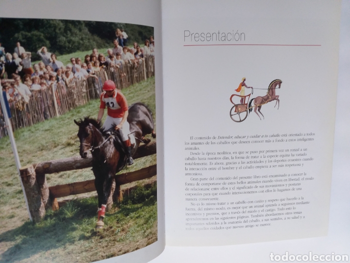Libros de segunda mano: Entender educar y cuidar a tu caballo . Luis Aguilar .Caballos - Foto 9