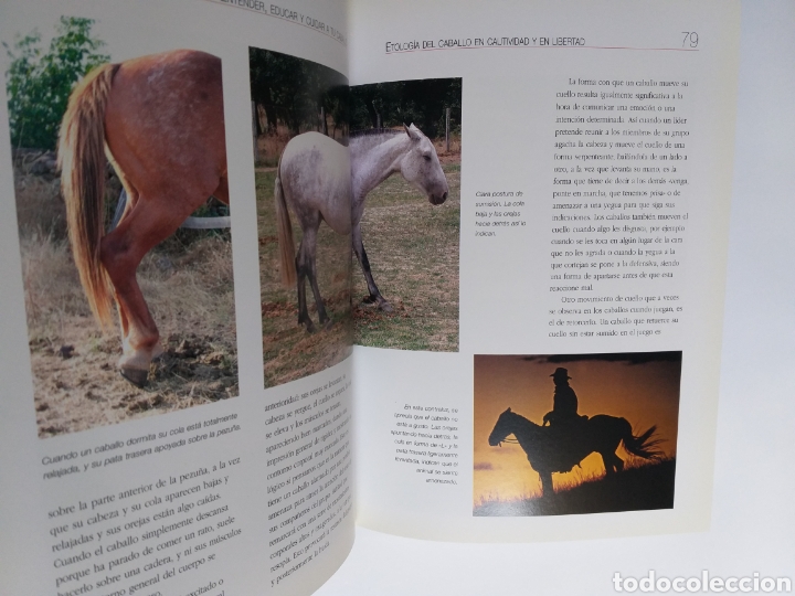 Libros de segunda mano: Entender educar y cuidar a tu caballo . Luis Aguilar .Caballos - Foto 10