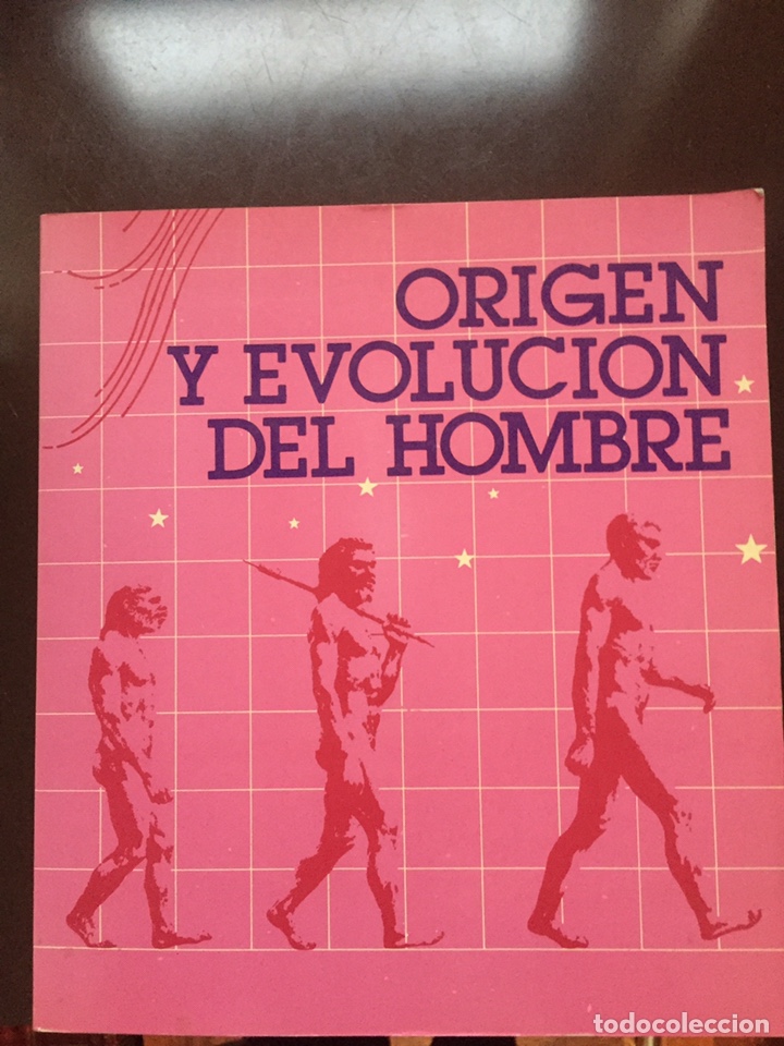 Libros de segunda mano: Origen y Evoluci&oacute;n del Hombre. Catalogo exposici&oacute;n 1984 - Foto 1