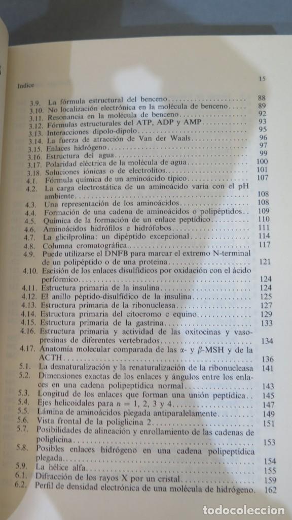 Libros de segunda mano: BIOLOG&Iacute;A MOLECULAR. ENFOQUE ESTRUCTURAL. SMITH - Foto 3