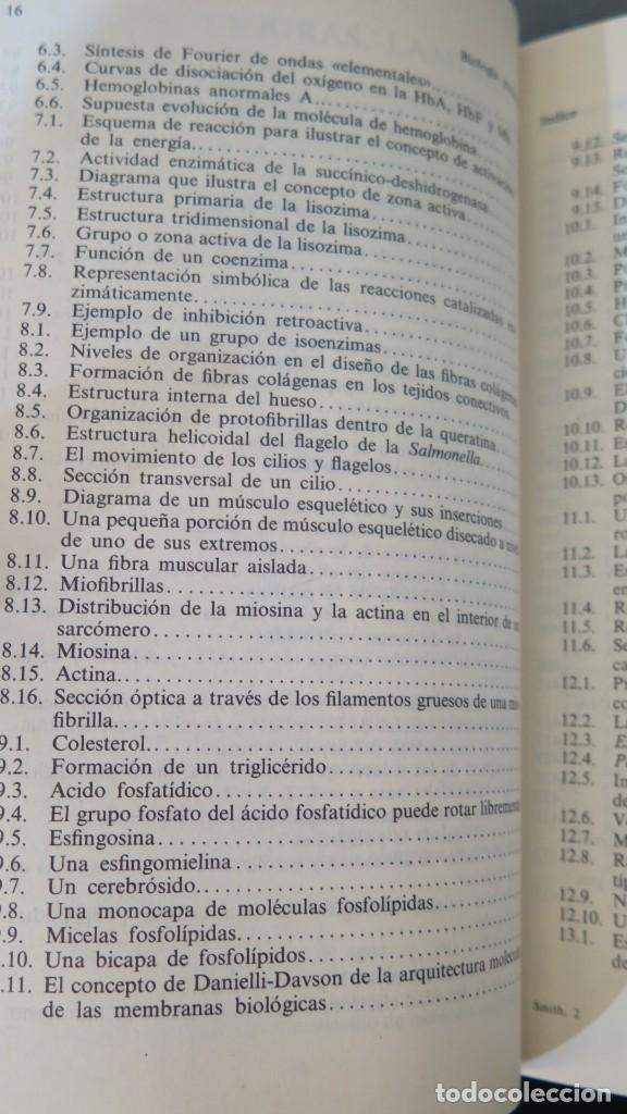 Libros de segunda mano: BIOLOG&Iacute;A MOLECULAR. ENFOQUE ESTRUCTURAL. SMITH - Foto 4